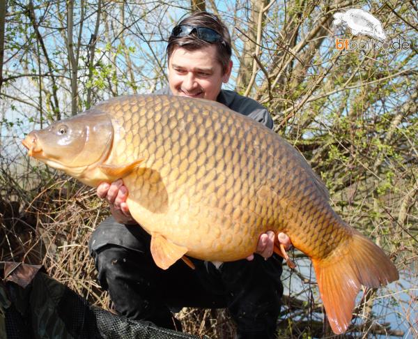 Fifty Fish Boilies 5 kg